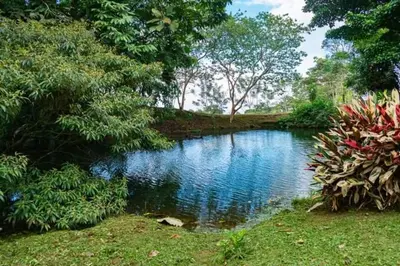 a small pond in the middle of a park at Cabaña Campo Verde in Marsella