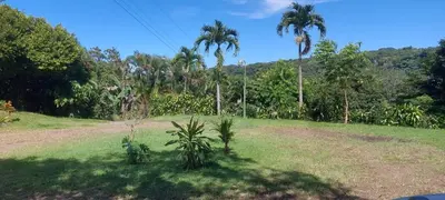a field with palm trees and a dirt road at Casita Maripier in Morado