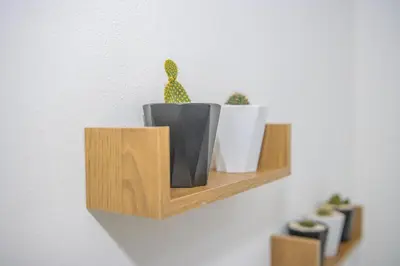 a shelf with potted plants on a wall at The Stay San Jose in San José