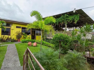 a yellow house with trees and plants in front of it at Hotel Aurora Inn, Nuevo Arenal in Nuevo Arenal
