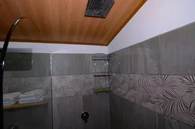 a shower in a bathroom with a shower at Alma Verde 2 in Monteverde Costa Rica