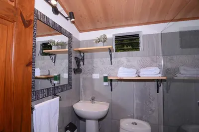 a bathroom with a sink and a toilet and a mirror at Alma Verde 2 in Monteverde Costa Rica