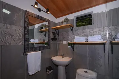 a bathroom with a sink and a mirror and a toilet at Alma Verde 2 in Monteverde Costa Rica