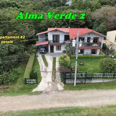 Alma Verde 2