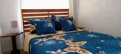 a bed with a blue blanket with butterflies on it at Casa Pitahaya in Monteverde Costa Rica