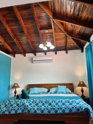 a bedroom with a bed with a wooden ceiling at Siwõ Art Guesthouse in Ocotal