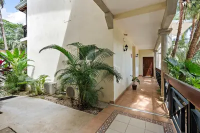 a hallway of a house with palm trees at 1-BD Near Beach Great for Digital Nomads in Potrero