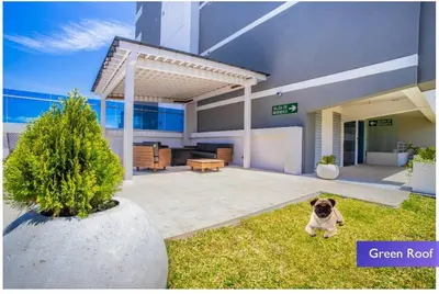a pug dog sitting in the grass in front of a house at 1001 Torres Los Yoses Apartamento con A/C y parqueo full equipado in San José