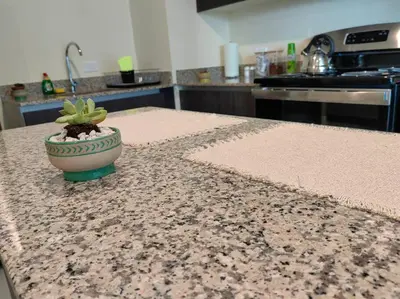 a potted plant sitting on a counter in a kitchen at 1505 Torre los Yoses Hermoso Apartamento en Barrio Escalante con Parqueo in San José