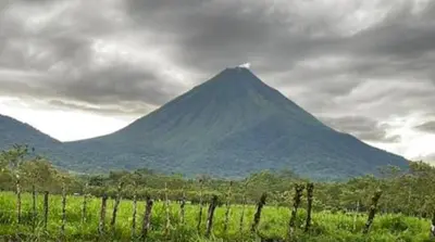 a mountain in the distance with a vineyard in the foreground at Sky Hostel in Fortuna