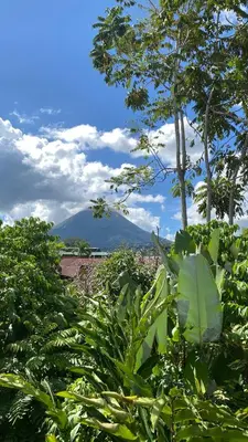 a field of plants with a mountain in the background at Oasis by Franklin Hotel Boutique in Fortuna