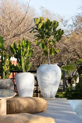 two white vases with a plant in them on a table at Silvestre Nosara Hotel & Residences in Nosara