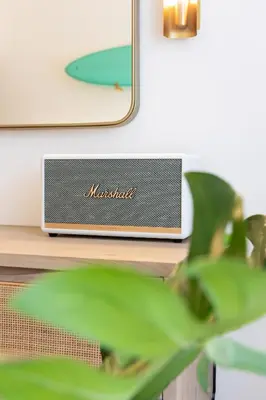 a speaker sitting on a table next to a plant at Silvestre Nosara Hotel & Residences in Nosara