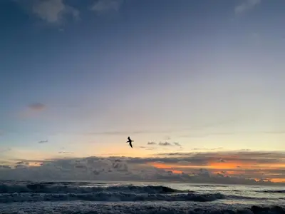 a person flying in the air over the ocean at Playa Hermosa, Mistico, Surf, Bike, Hike, 4 Hab, Lagos, Familia in Jacó