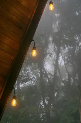 a group of lights hanging from a ceiling with trees at Pozas y Cascadas La Presa Habitación 2 in Ángeles