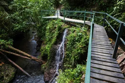 a stairway leading to a waterfall in the forest at Pozas y Cascadas La Presa Habitación 2 in Ángeles