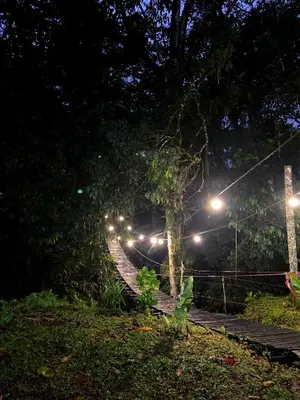 a wooden suspension bridge at night with lights at Pozas y Cascadas La Presa Habitación 2 in Ángeles