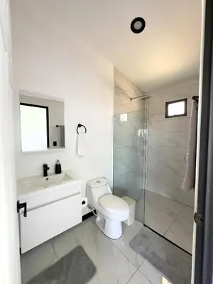 a white bathroom with a toilet and a shower at Black & White Apartments in Monteverde Costa Rica