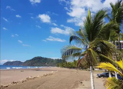 a beach with a palm tree and a car on it at Private Modern Condo by Jac Beach in Jacó