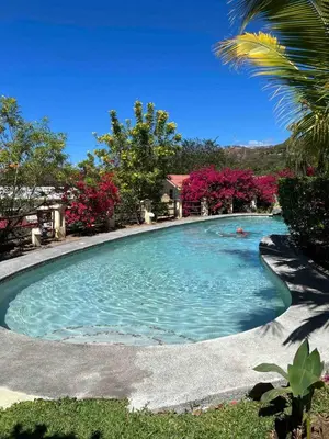 a swimming pool with blue water and pink flowers at Peaceful Bliss Condo inside a 6 pool Complex in Coco