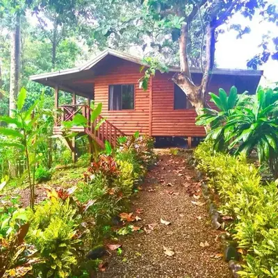 CASITAS GINGER