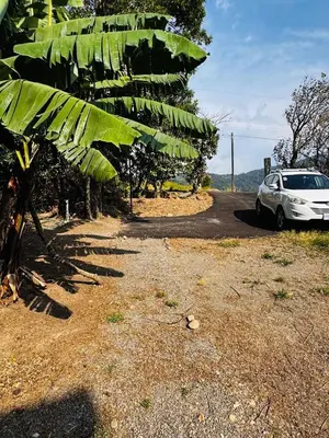 a white car parked next to a palm tree at Casa Sios San Luis, Monteverde in Monteverde Costa Rica