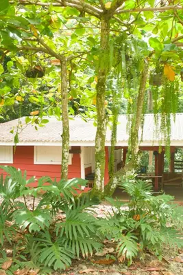 a red house with trees in front of it at Casa Rancho Verde in Monterrey