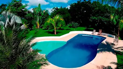 a large blue swimming pool in a yard with palm trees at Hotel Three Monkeys in Montezuma