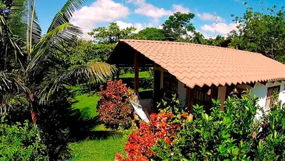 a house with a tiled roof in a garden at Hotel Three Monkeys in Montezuma
