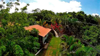 a house with an orange roof in a forest at Hotel Three Monkeys in Montezuma