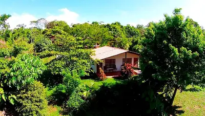 a small house in the middle of a forest at Hotel Three Monkeys in Montezuma