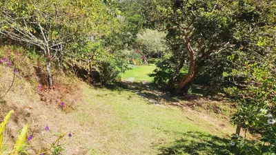 a dirt path through a forest with trees and grass at Hospedajes Richie Eco Camp in Providencia