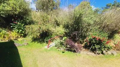 a garden with bushes and trees and a dirt road at Hospedajes Richie Eco Camp in Providencia