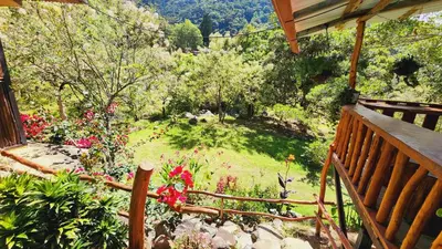 a view of a garden from a porch with a bench at Hospedajes Richie Eco Camp in Providencia