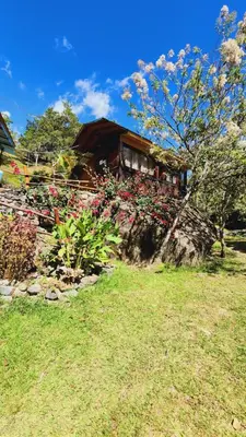 a house with flowers in front of a yard at Hospedajes Richie Eco Camp in Providencia