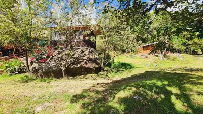 a large rock in the yard of a house at Hospedajes Richie Eco Camp in Providencia