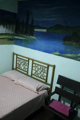 a bedroom with a bed and a painting on the wall at Hostal del Este Santa Fe in San José