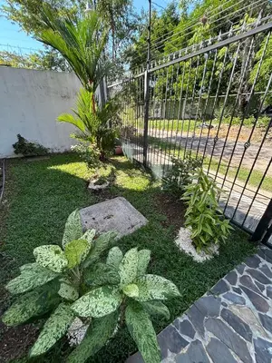 a fence with plants in front of a yard at casa la luz Orotina in Orotina