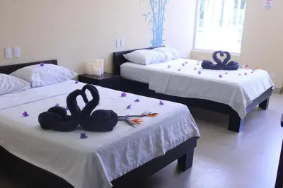 two swans are sitting on two beds in a room at Room2Board Hostel and Surf School in Jacó