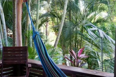 a hammock in a room with palm trees at Hotel Luz de Luna in Santa Teresa Beach