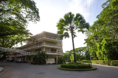 a tall building with a palm tree in front of it at Hotel Arenas en Punta Leona in Jacó