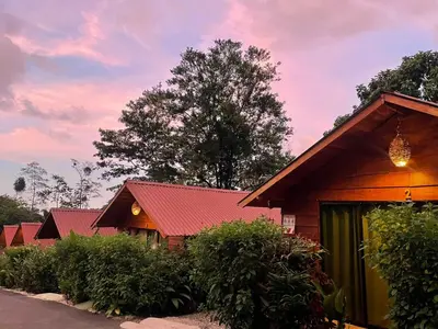 a house with a red roof and some bushes at Cabañas SyC in Fortuna