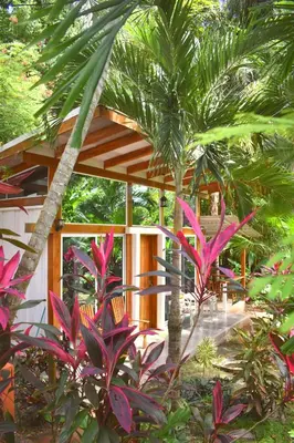 a tropical garden with pink plants and a building at Fuego Lodge in Santa Teresa Beach