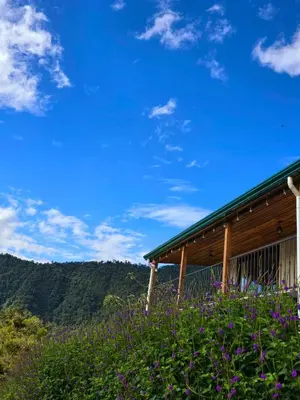 a house on a hill with purple flowers in front at Bosque Tapantí, cerca del PN Tapantí en Orosí, Cartago, Costa Rica in Purisil