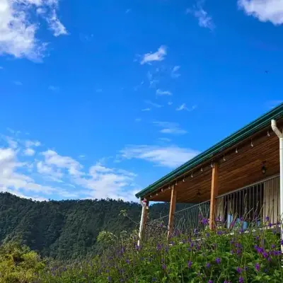 Bosque Tapantí