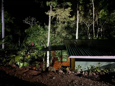 a small house in the middle of a forest at night at Cabañas Vistas de Altura por Hermanos Solano in San Francisco