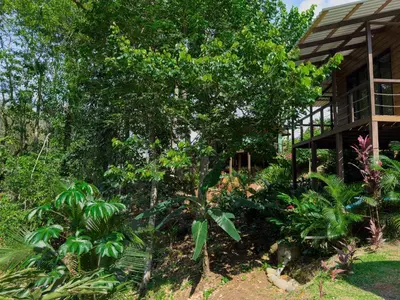 a garden in front of a house with trees and plants at Cabañas Vistas de Altura por Hermanos Solano in San Francisco