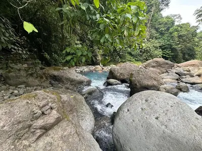 a stream of water with rocks and trees at Cabañas Vistas de Altura por Hermanos Solano in San Francisco