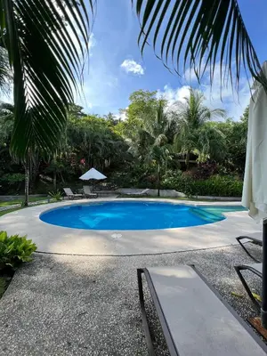 a swimming pool in a resort with a palm tree at Hidden Paradise Tennis and Pickleball Getaway in Esperanza