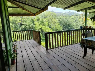 a wooden deck with a view of the forest at Bella Vista Guest house in Turrialba
